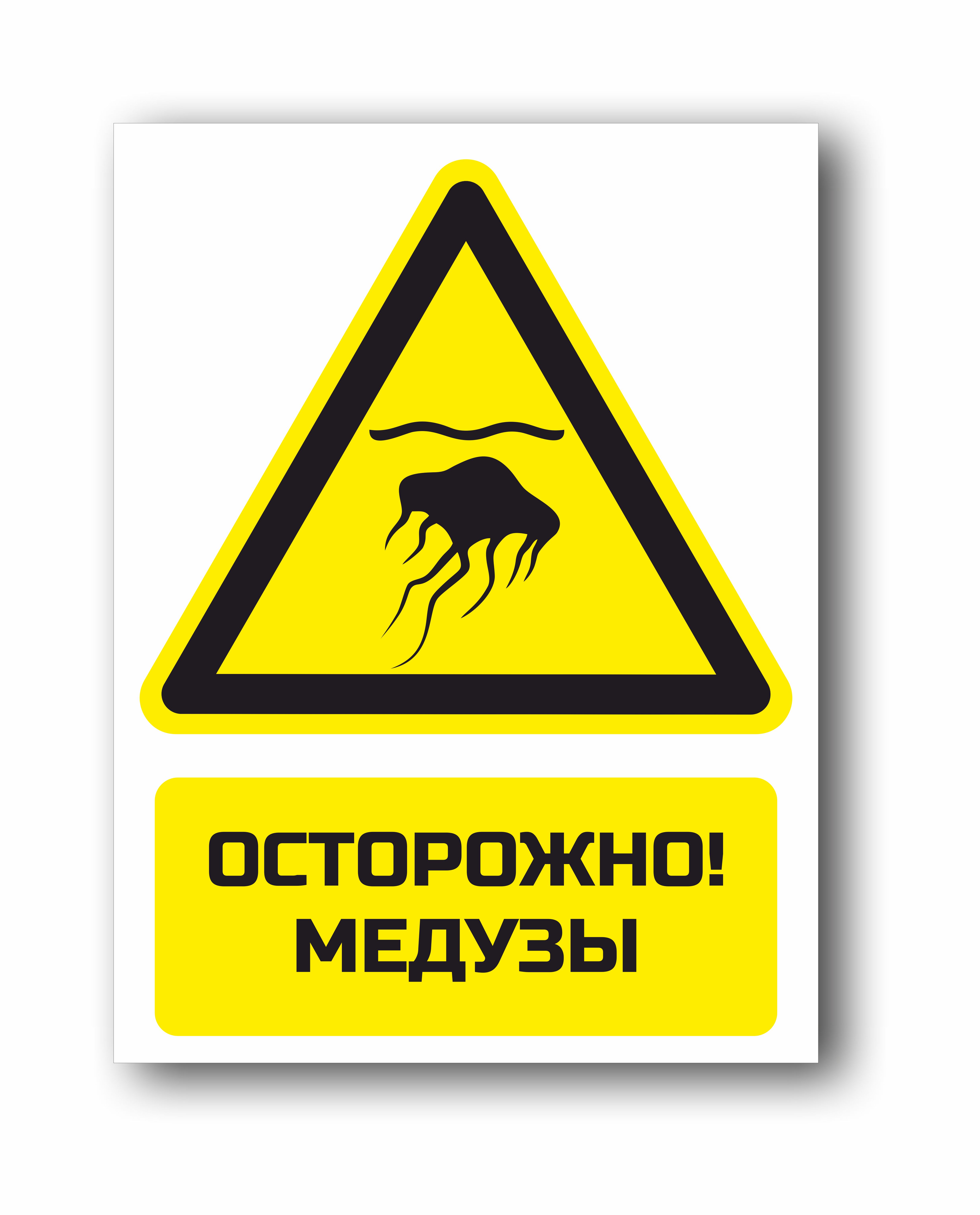 Осторожно, медузы